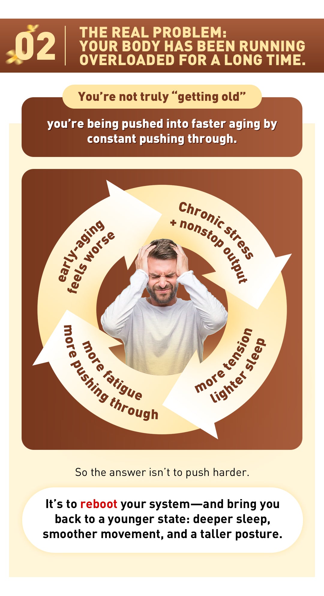 Plan de energía e inmunidad invernal de 90 días 