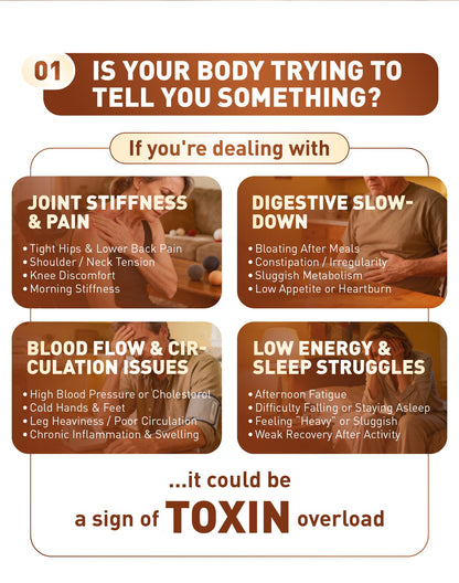 5-DAY TAICHI Detox Workshop